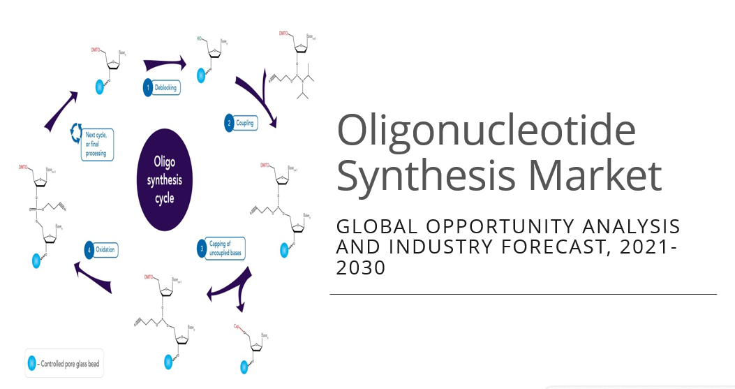 Oligonucleotide Therapeutics and Delivery Conference 2024 Sciinov Group